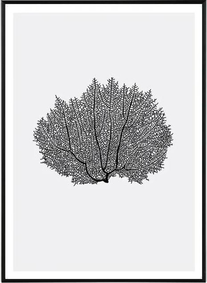 Coral I. in black - 30x40 cm Obraz