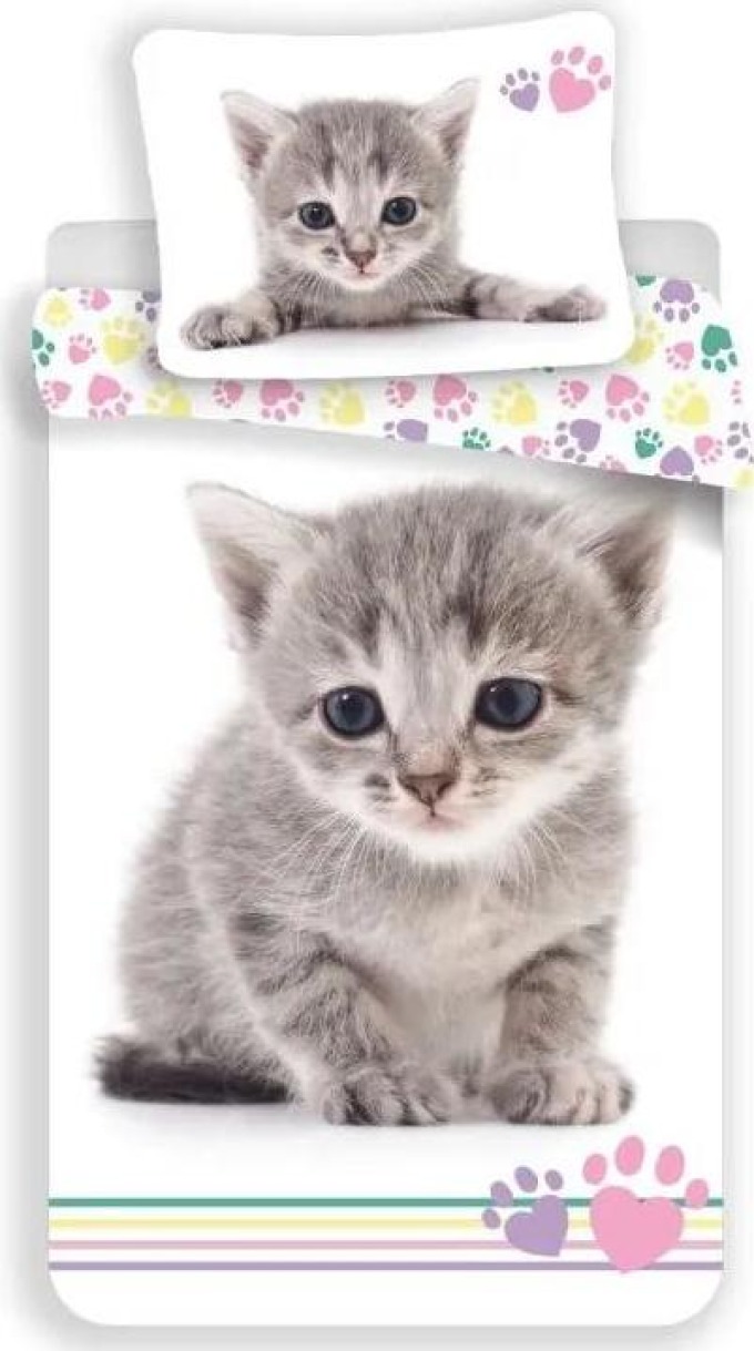 JERRY FABRICS Povlečení Kitten Colour Bavlna, 140/200, 70/90 cm