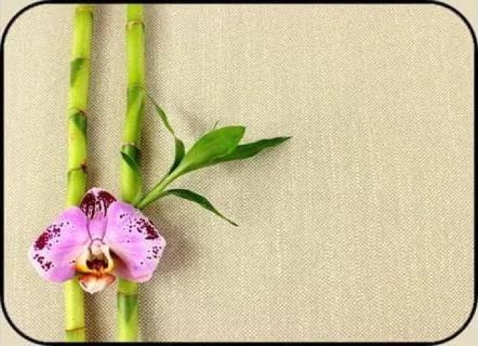 Prostírání na stůl ovalné Lux - Orchidei růžová