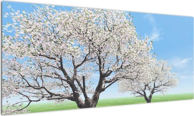 Obraz kvetoucího stromu na jarní louce (100x40cm)