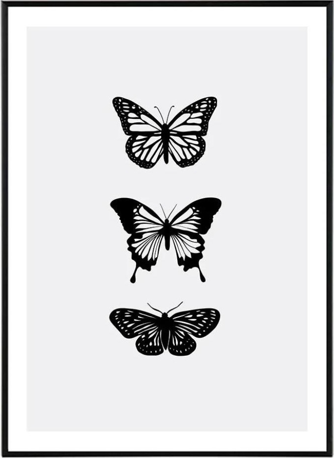 On the wings - 30x40 cm Obraz