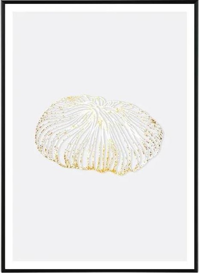 Softness - 50x70 cm Obraz