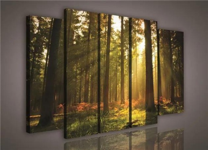 Pětidílný obraz na plátně s východem slunce v lese o rozměrech 150 x 100 cm