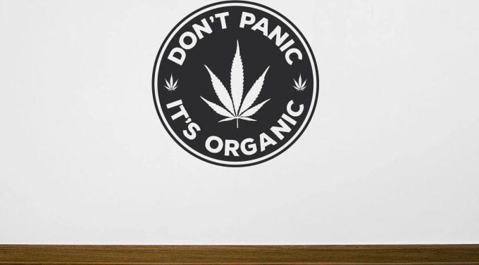 Lepy.cz Samolepka na zeď Don't Panic Velikost (šířka x výška): l15x115cm, Barevná varianta: Pastelová oranžová