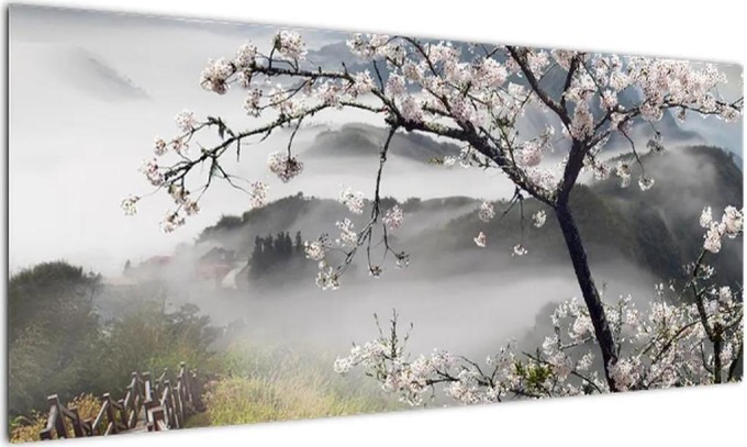 Sakura - obraz (100x40cm)