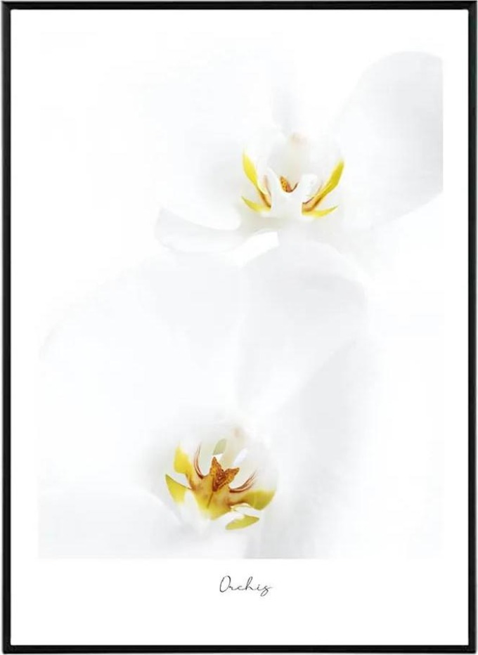 Crystalline - 30x40 cm Obraz
