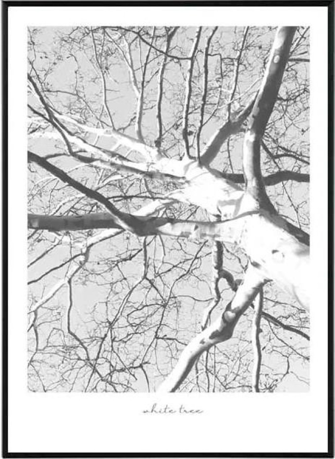 White tree - 30x40 cm Obraz