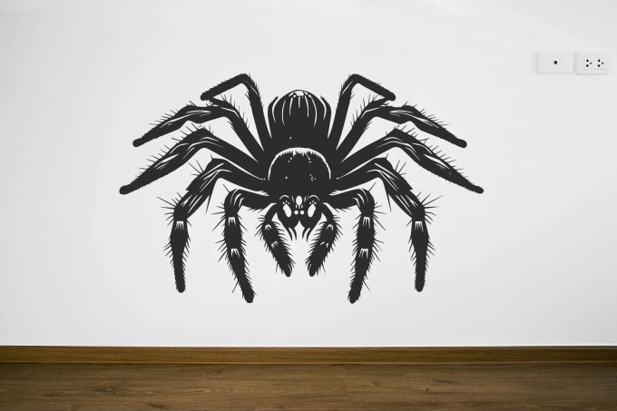Lepy.cz Samolepka na zeď Pavouk Velikost (šířka x výška): 40x25cm, Barevná varianta: Světle modrá