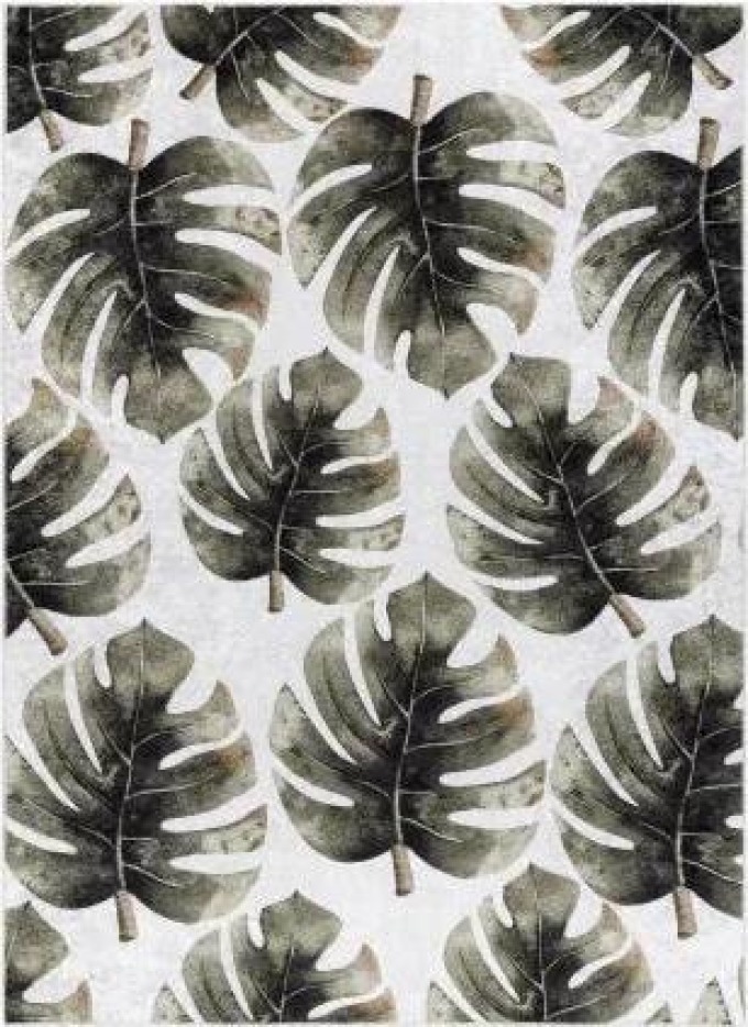 MIRO 52102.801 mycí kobereček Monstera odchází protiskluz zelená velikost 160x220 cm | krásné koberce cz