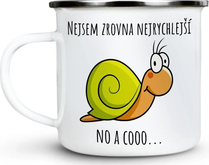 Ahome Plecháček Nejsem nejrychlejší 300 ml