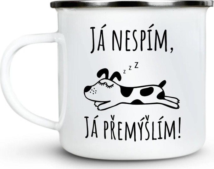 Ahome Plecháček Já nespím, já přemýšlím 300 ml