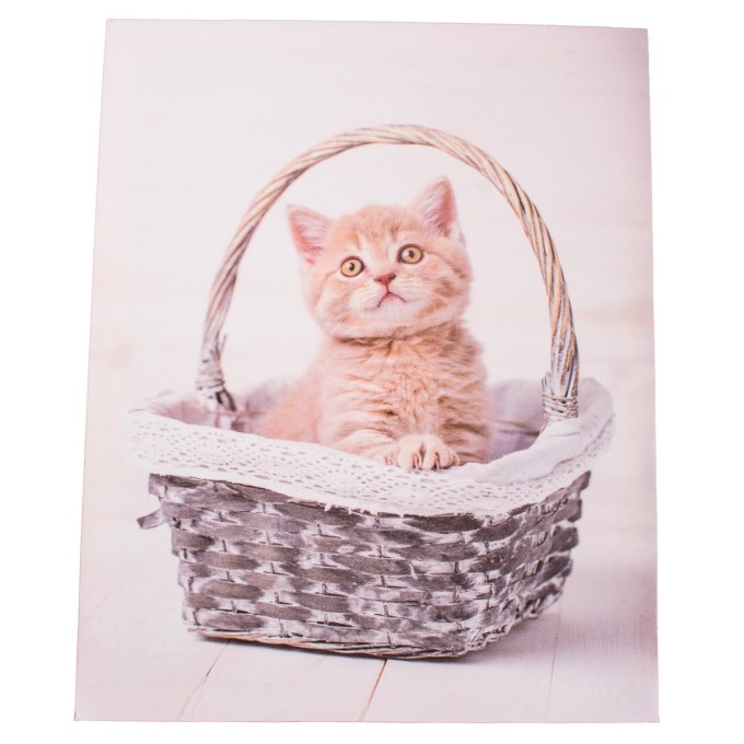 Obraz na plátně Kittie in basket, 30 x 40 cm