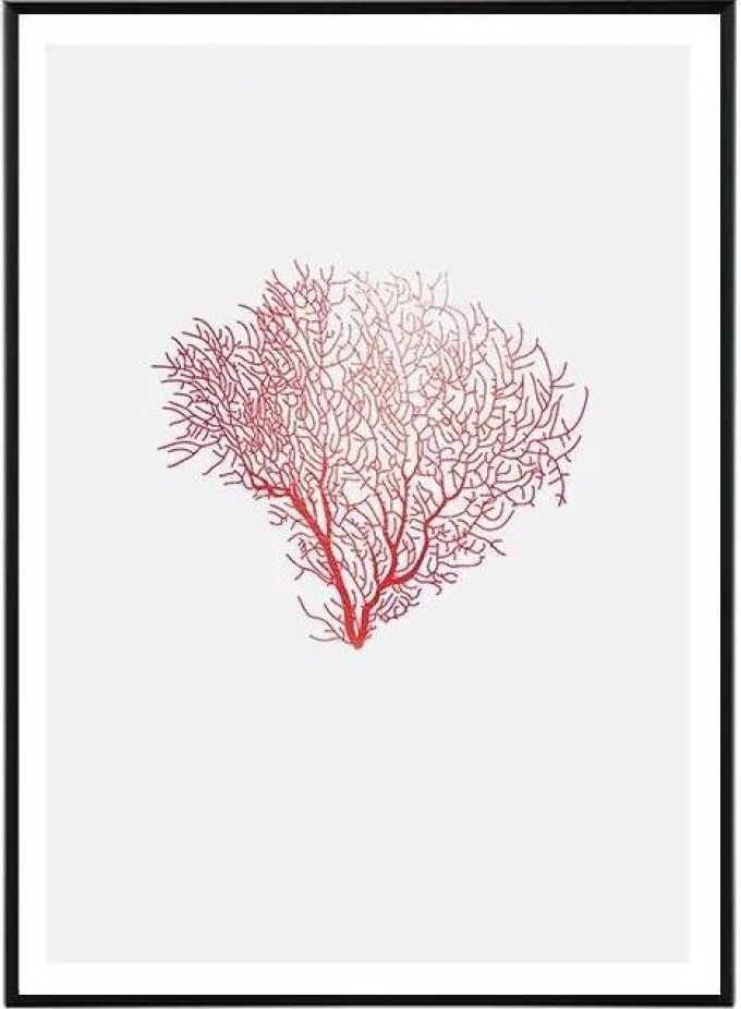 Coral spirit - 30x40 cm Obraz