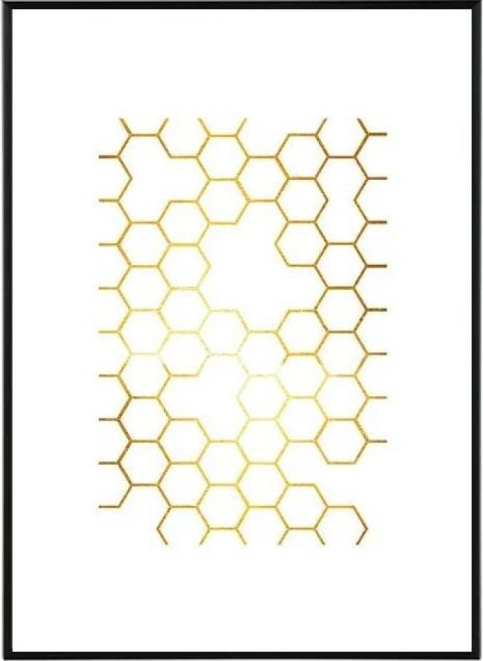 Honey - 30x40 cm Obraz
