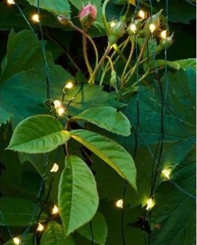 Svítící řetěz Fairy Light 80 LED Green Sirius