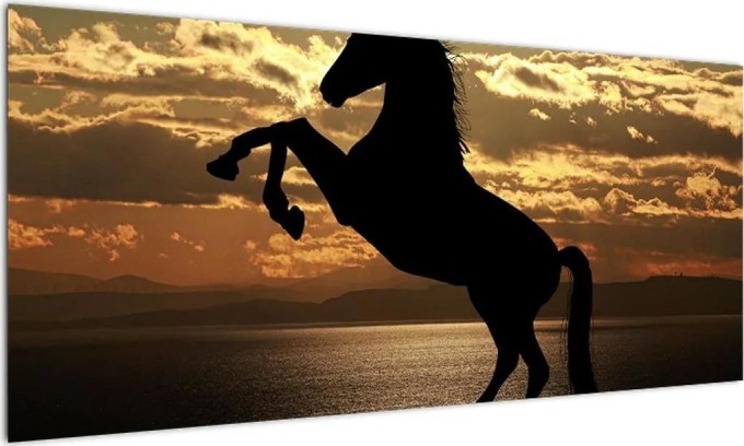 Obraz koně na zadních (100x40cm)
