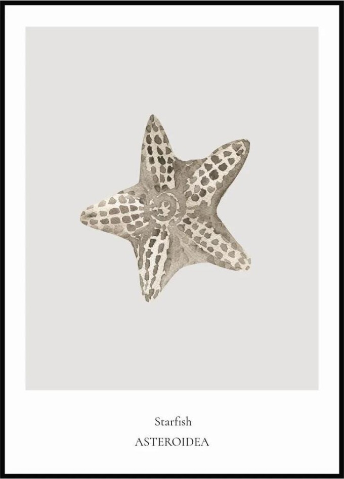 Plakát Starfish A4 (21 x 29,7 cm)