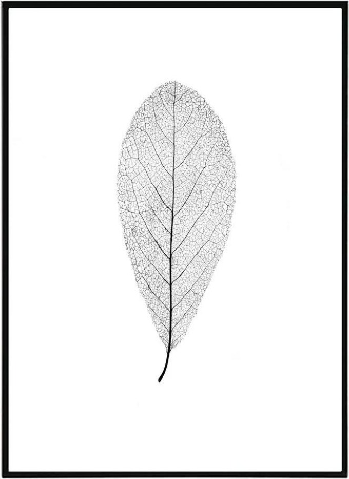 Perfection - 50x70 cm Obraz