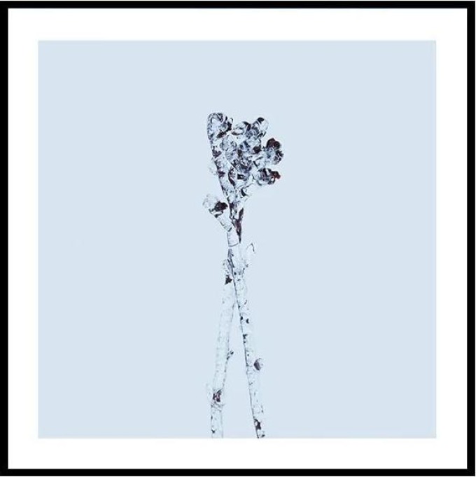 Winter crystals - 30x30 cm Obraz