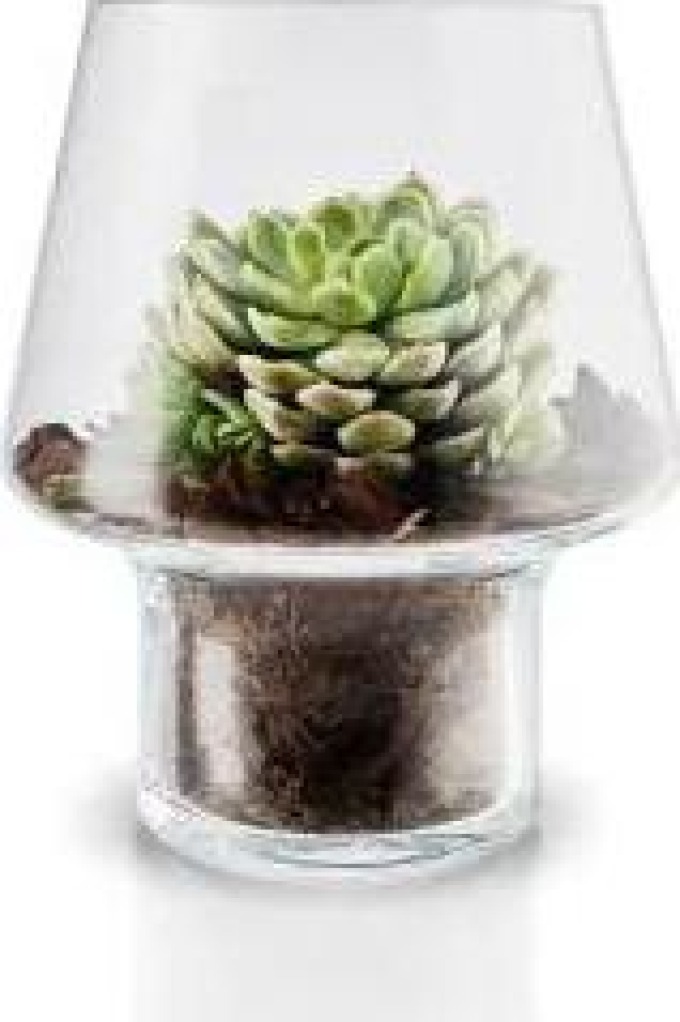 Skleněná váza na sukulenty Succulent Vase 15 cm Eva Solo