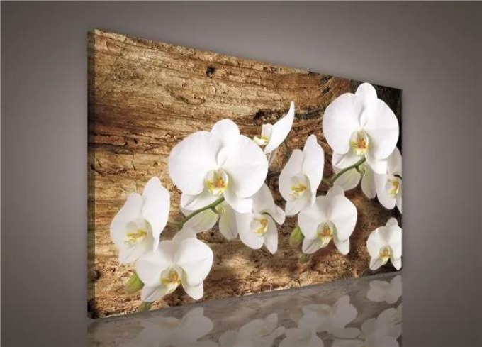Obraz na plátně s bílou orchidejí na dřevě, rozměr 100 x 75 cm