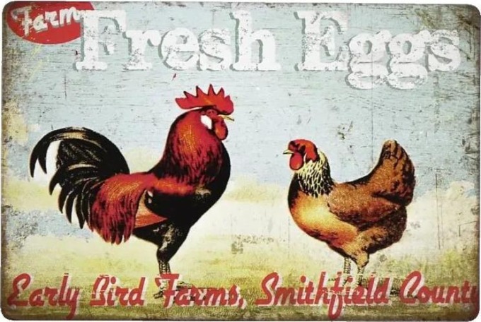 Kovová cedule s nápisem Fresh Eggs, stylový a originální doplněk do vintage interiérů
