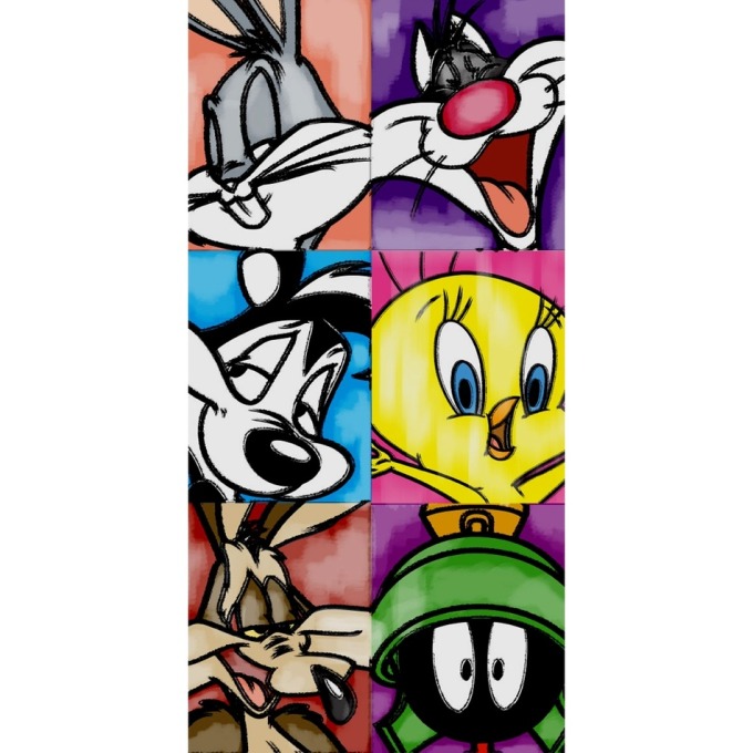 Osuška Looney Tunes Trhlíci, 70 x 140 cm