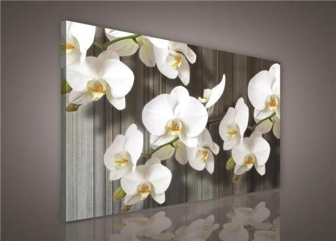 Bílá orchidej na plátně, 100 x 75 cm, vysoce kvalitní digitální tisk