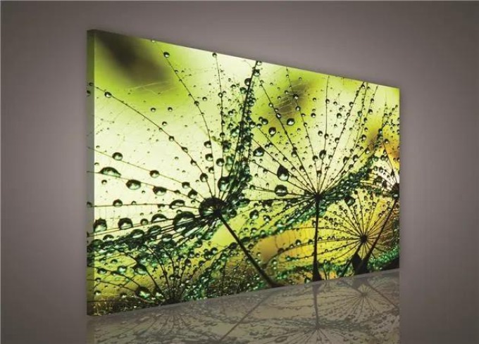 Obraz na plátně ranní rosa zelená 100 x 75 cm