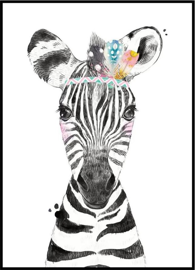 Plakát Zebra Rozměr plakátu: 30 x 40 cm, Varianta zebry: Zebra indián