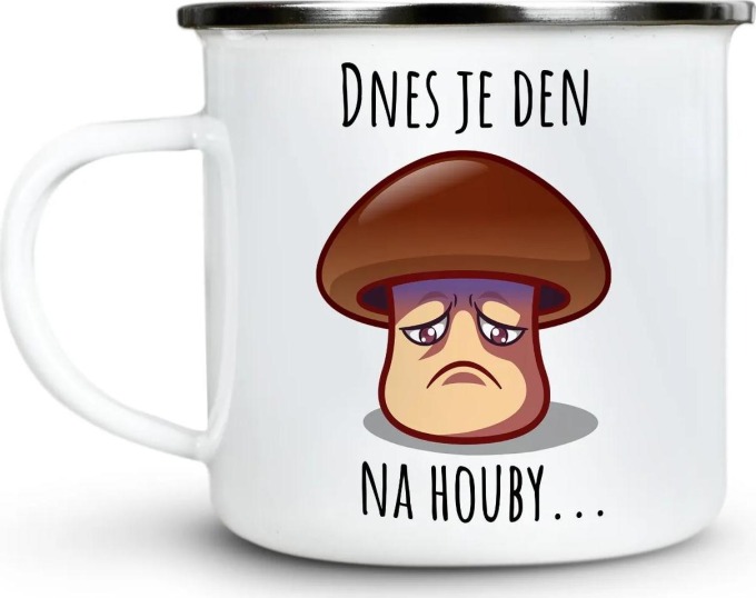 Ahome Plecháček Dnes je den na houby 300 ml