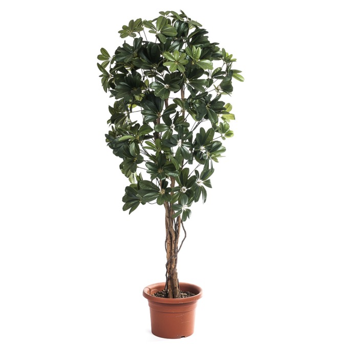 Umělý strom Schefflera, 140 cm