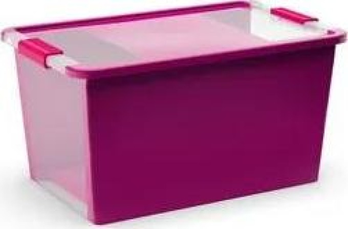 Úložný Bi box L 40 litrů barevné provedení fialový/transparentní