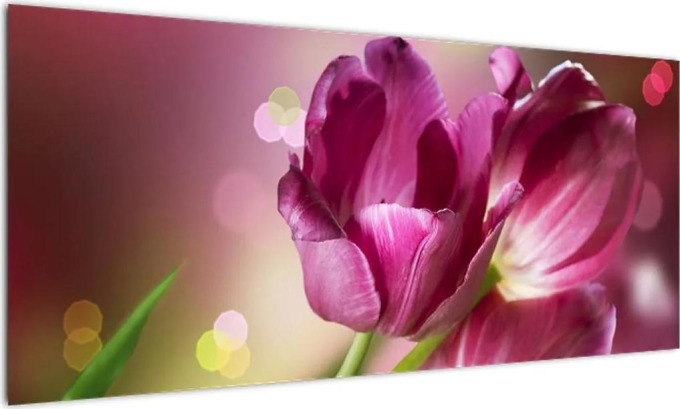 Obraz tulipánů (100x40cm)