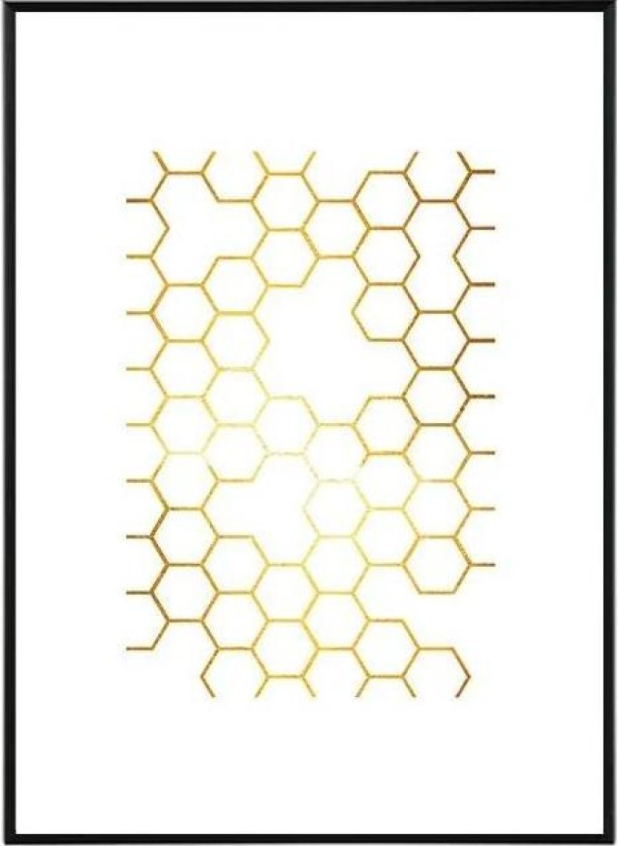 Honey - 50x70 cm Obraz