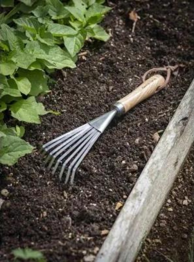 Ruční hrábě s dřevěnou rukojetí Hawkesbury Garden Trading