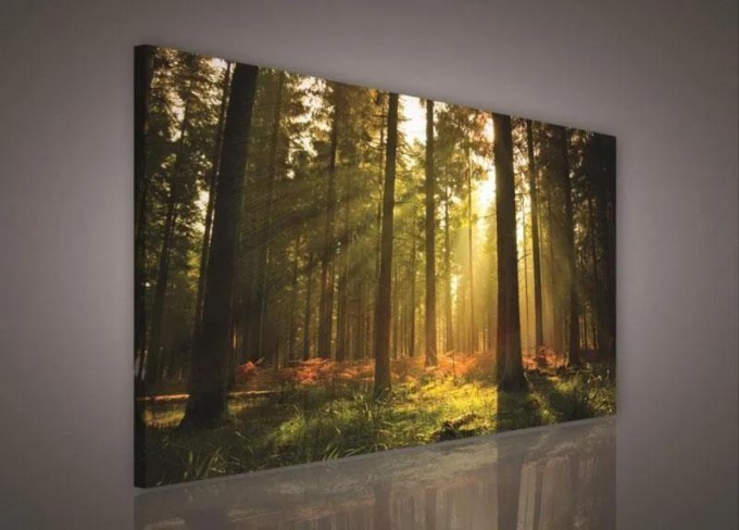 Obraz na plátně s východem slunce v lese, rozměr 100 x 75 cm