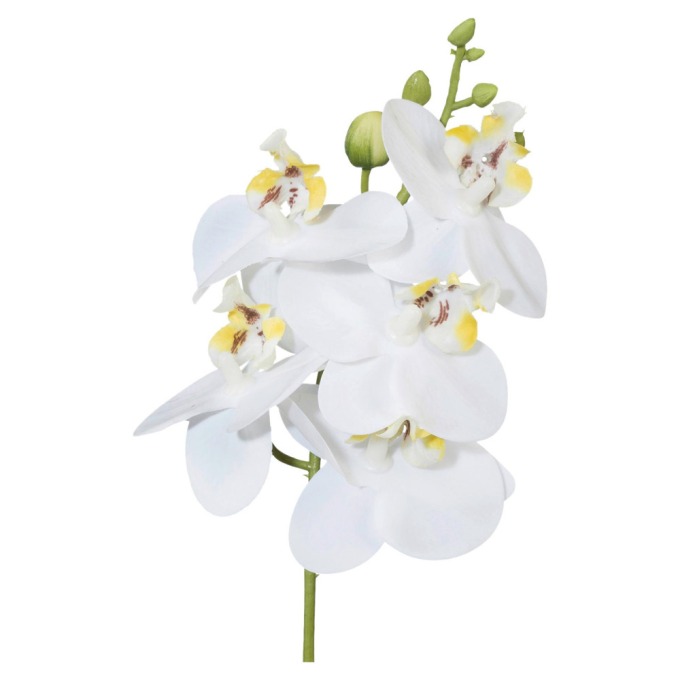 Umělá rostlina Phalaenopsis, V:27cm,bílá