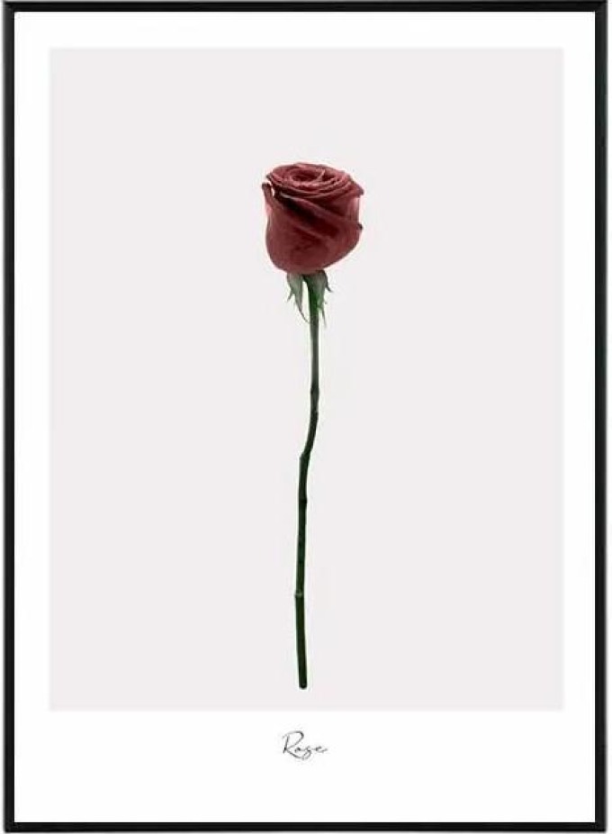 Loving - 50x70 cm Obraz