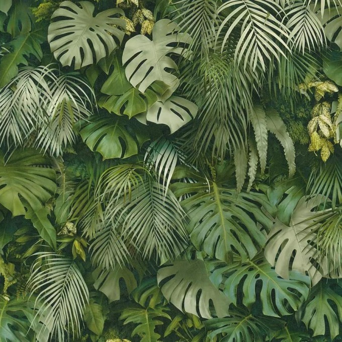 Vliesové tapety na zeď s palmovými listy a listy Monstera zelené, rozměr 10,05 m x 0,53 m