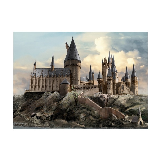 Dětská fototapeta Harry Potter Hogwarts 252 x 182 cm, 4 díly