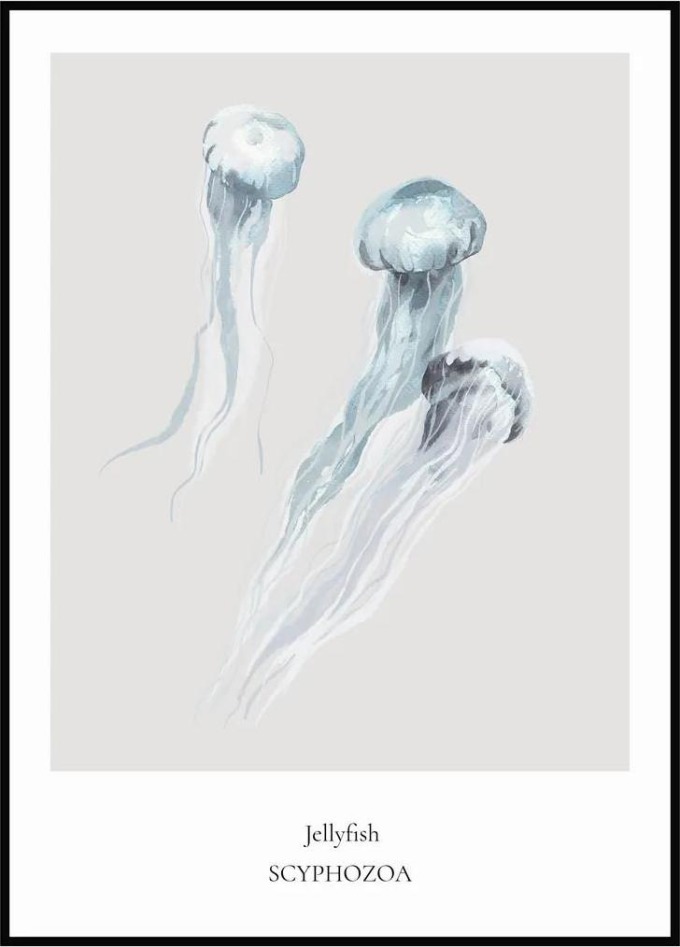 Plakát Jellyfish 50 x 70 cm