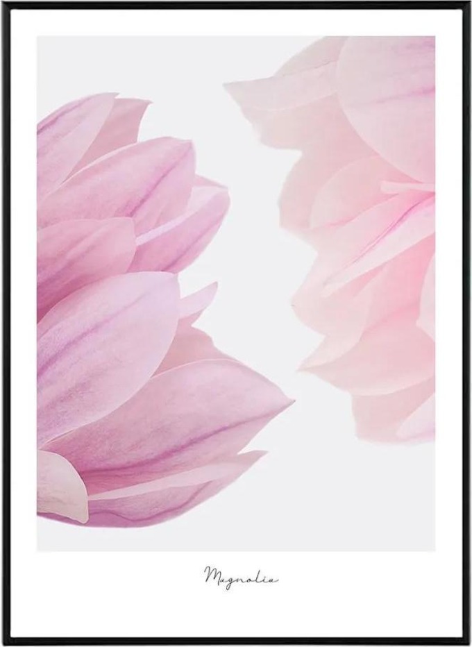 Touch of Magnolia - 30x40 cm Obraz