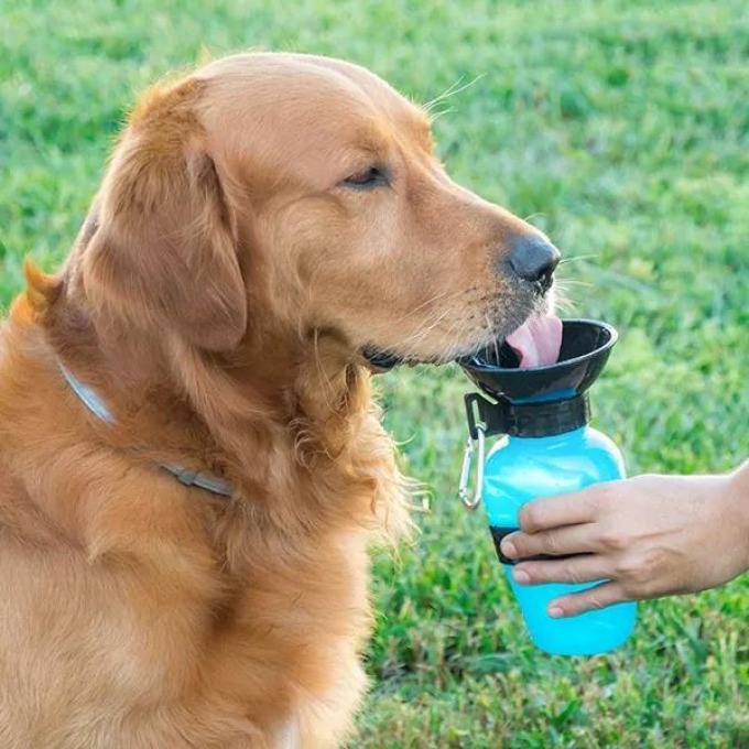 Zaparkorun Cestovní láhev na vodu pro psy - 500 ml