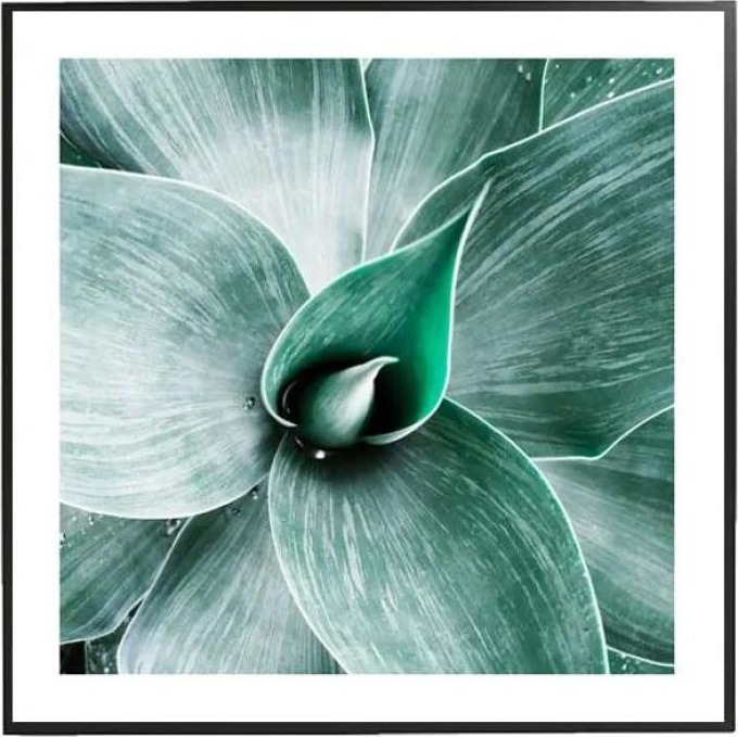 Beauty - 30x30 cm Obraz
