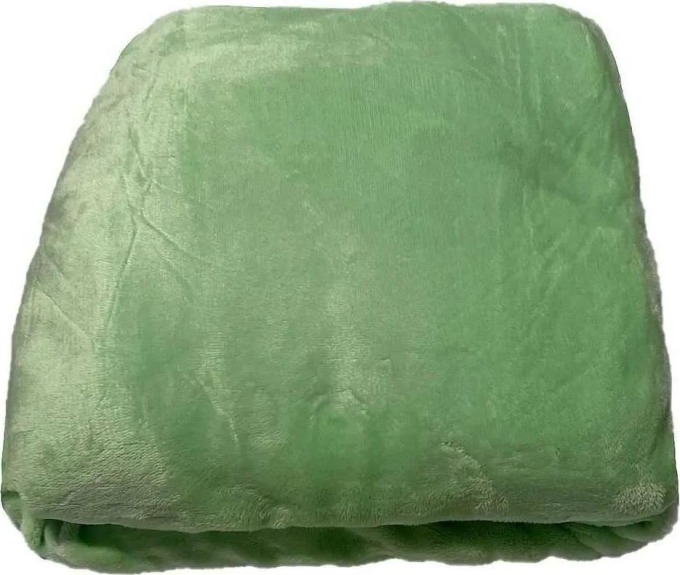 JERRY FABRICS Mikroplyšové prostěradlo pastelově zelená Polyester, 90/200 cm