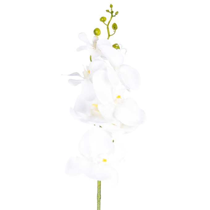 Umělá Orchidej čistě bílá, 86 cm